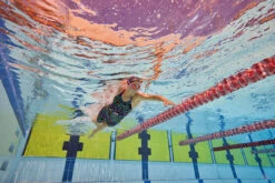 Amanzi - Aquatica Ladies Kneelength -Swim and Beyond amanzi aquatica ladies kneelength 10