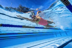 Funkita - Lady Birdie - Ladies Single Strap One Piece 22 Funkita - Lady Birdie - Ladies Single Strap One Piece -Swim and Beyond funkita lady birdie ladies single strap one piece 11