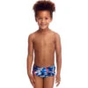 Funky Trunks - Futurismo - Toddler Boys Printed Trunks