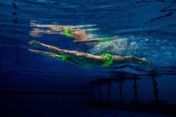 Funky Trunks - Golden Glow - Mens Classic Trunks 16 Funky Trunks - Golden Glow - Mens Classic Trunks -Swim and Beyond funky trunks mens swimwear golden glow classic trunks 8