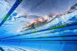 Funky Trunks - Royal Fleet - Mens Sidewinder Trunks -Swim and Beyond funky trunks royal fleet mens sidewinder trunks 9