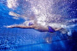 Funky Trunks - Rusted - Mens Training Jammers 16 Funky Trunks - Rusted - Mens Training Jammers -Swim and Beyond funky trunks rusted mens training jammers 8