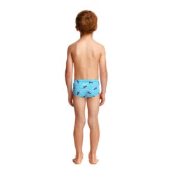Funky Trunks - Tweety Tweet Toddler Boys Printed Trunk 7 Funky Trunks - Tweety Tweet Toddler Boys Printed Trunk -Swim and Beyond funky trunks tweety tweet boys toddler printed trunk 3