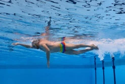 Funky Trunks - Wing It - Mens Plain Front Trunks -Swim and Beyond funky trunks wing it mens plain front trunks 10