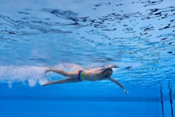 Funky Trunks - Wing It - Mens Plain Front Trunks -Swim and Beyond funky trunks wing it mens plain front trunks 11