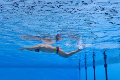 Funky Trunks - Wing It - Mens Plain Front Trunks -Swim and Beyond funky trunks wing it mens plain front trunks 12